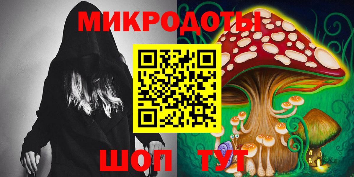как найти   Псилоцибиновые грибы прущие грибы  Вход с VPN  Сосновоборск 